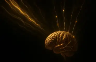 Визуализация мозга как космического приемника сознания