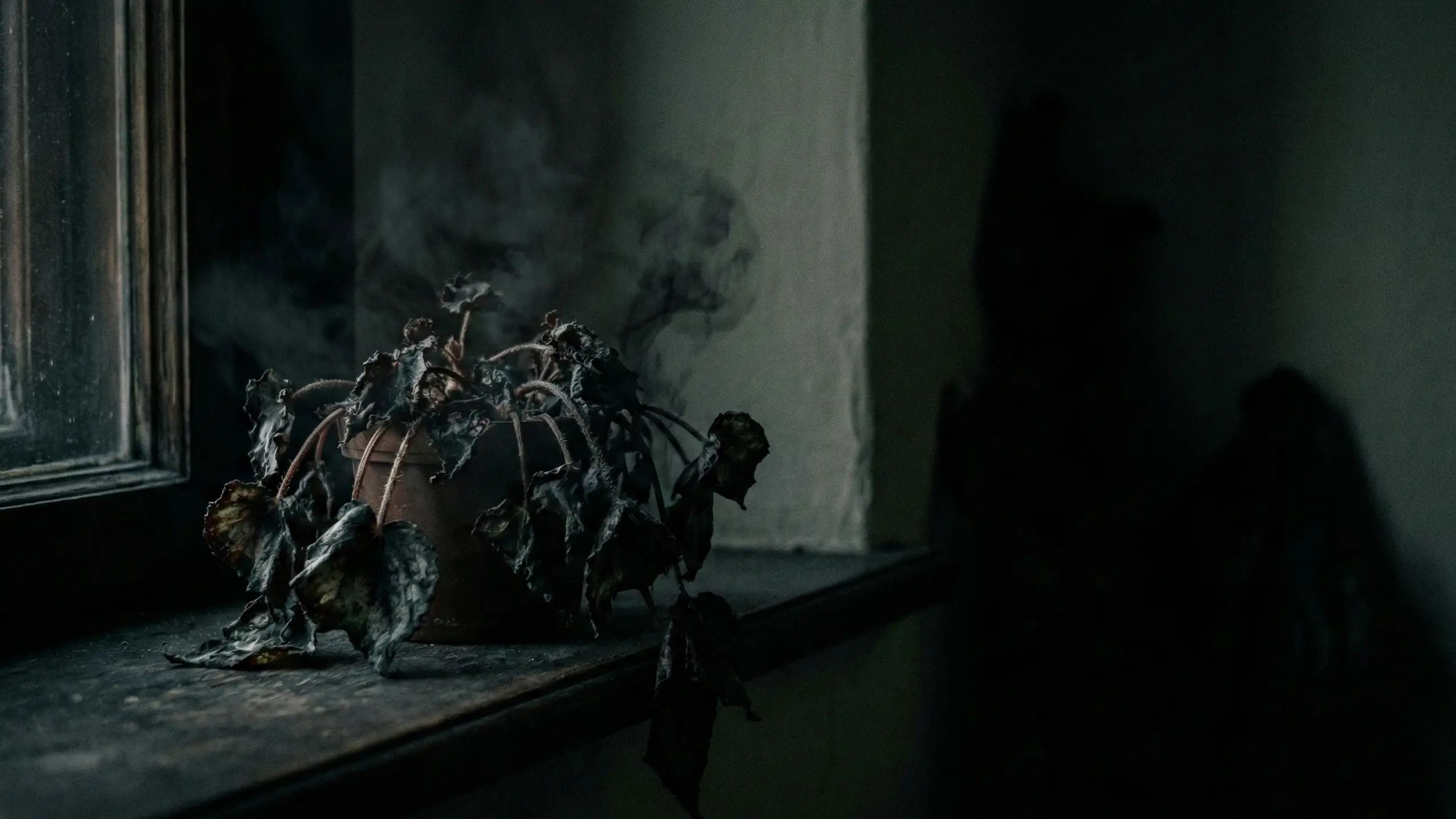 Энергетическая уборка: Как очистить дом от негатива с помощью соли и звука (Ритуал 3 шагов) 2 Увядающий цветок как признак негативной энергии в доме